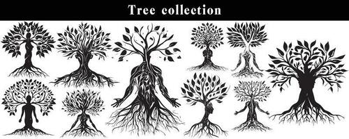 set of silhouettes of trees. black and white tree vector set. tree silhouette set on white background.