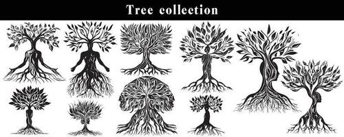 set of silhouettes of trees. black and white tree vector set. tree silhouette set on white background.