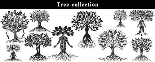 conjunto de siluetas de arboles negro y blanco árbol vector colocar. árbol silueta conjunto en blanco antecedentes.