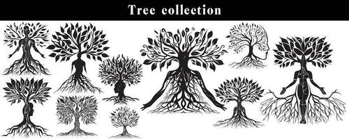 conjunto de siluetas de arboles negro y blanco árbol vector colocar. árbol silueta conjunto en blanco antecedentes.