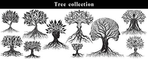 set of silhouettes of trees. black and white tree vector set. tree silhouette set on white background.