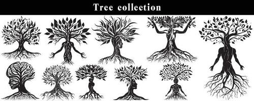 set of silhouettes of trees. black and white tree vector set. tree silhouette set on white background.