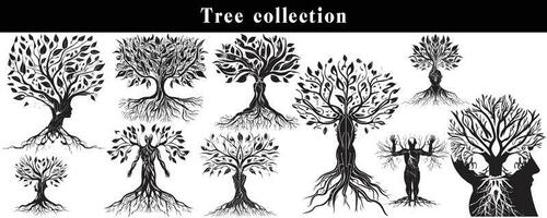 set of silhouettes of trees. black and white tree vector set. tree silhouette set on white background.