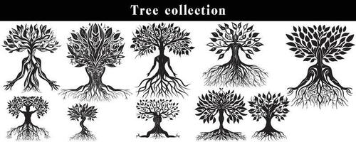 set of silhouettes of trees. black and white tree vector set. tree silhouette set on white background.