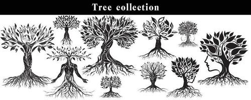 set of silhouettes of trees. black and white tree vector set. tree silhouette set on white background.