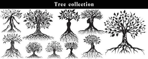 set of silhouettes of trees. black and white tree vector set. tree silhouette set on white background.