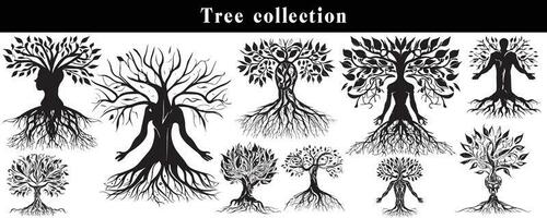 set of silhouettes of trees. black and white tree vector set. tree silhouette set on white background.