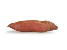 Sweet potato isolated on white background. Clipping Path. photo