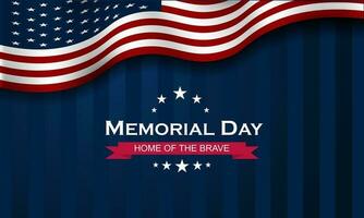 Memorial day background design vector illustration