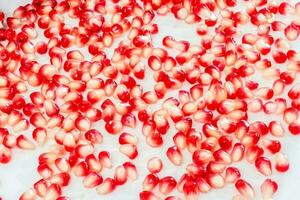 pomegranate seeds on white background photo