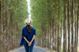 Back view of owner of timber industry is checking the eucalyptus plantation for lumber business and wood material concept photo