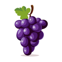 grain de raisin clipart transparent arrière-plan, ai génératif png