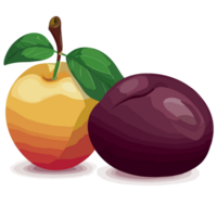 Plum transparent background, png