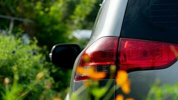 Close-up car tail light gray color. Parking the back of the flower. Blurred frontground of cosmos orange color. Background green color in the garden. Back of the car is dirty and dusty. photo