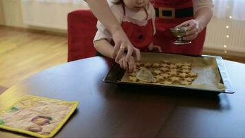 madre con sua Due anni vecchio figlia è diffusione zucchero polvere su Natale biscotti video