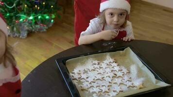 Brother and sister are sharing Christmas biscuits video