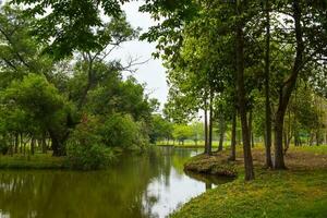 Blooming trees and beautiful lake in Bangkok Park, Chatuchak Park photo