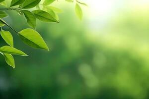 Fresh nature view of green leaf on blurred greenery background in garden with copy space using as a background, natural green plants landscape. AI Generated photo