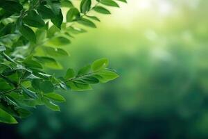 Fresh nature view of green leaf on blurred greenery background in garden with copy space using as a background, natural green plants landscape. AI Generated photo