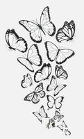 Composition of group black and white butterflies flying in a flock vector