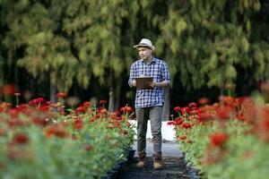 Asian gardener is taking note using clip board on the growth and health of red zinnia plant while working in his rural field farm for medicinal herb and cut flower usage photo