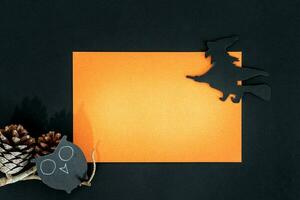 Halloween invitation. The owl and witch on orange and black background. photo