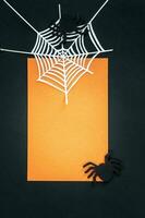 Halloween holiday background with spiders and spider web. View from above. photo