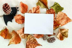 Banner. Modern background with autumn leaves and bat. Halloween with copy space for text. photo