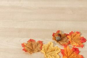 Top view, flat lay, copy space. Autumn composition. photo