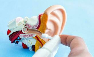 utilizando un rociar a limpiar el orejas, obstruido por el secreción de el oreja, el corcho. foto