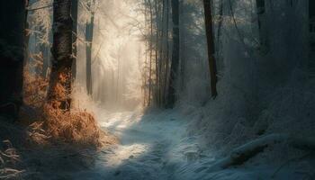 Mysterious forest in winter, tranquil beauty revealed generated by AI photo