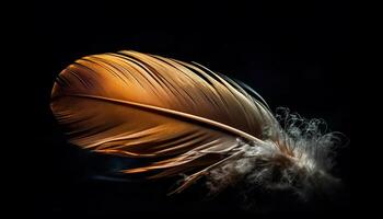 Feather elegance in nature fragile beauty generated by AI photo