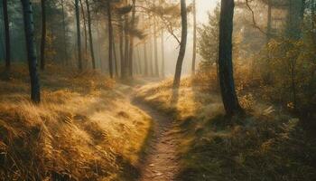 Tranquil scene of autumn forest in fog generated by AI photo