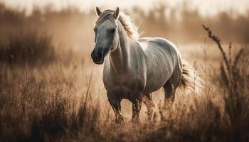 Majestic stallion runs free in green meadow generated by AI photo