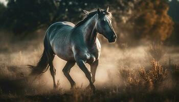 Thoroughbred stallion running free in meadow sunset generated by AI photo
