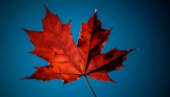 Vibrant autumn maple leaf, symbol of change generated by AI photo