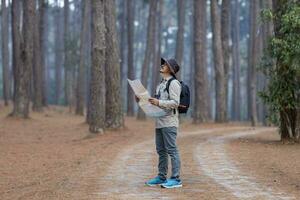 asiático naturalista mirando a el mapa para dirección mientras explorador fauna silvestre en el pino bosque para topografia y descubriendo el raro biológico diversidad y ecologista en el campo estudiar concepto foto