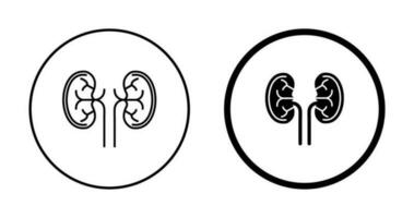 Kidney Vector Icon