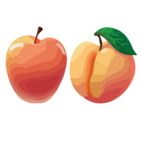 Peach transparent background ,AI Generative png