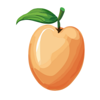 Peach transparent background ,AI Generative png