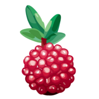 Raspberry transparent background ,AI Generative png