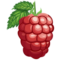 Raspberry transparent background ,AI Generative png