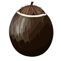 Coconut transparent background,AI Generative png