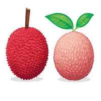 litchi transparent arrière-plan, ai génératif png