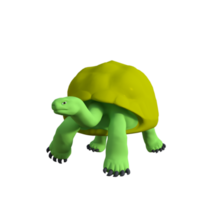 tartaruga animal isolado 3d png