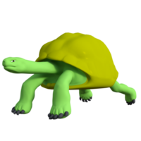 tartaruga animal isolado 3d png