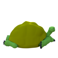 tortue animal isolé 3d png