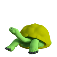 tartaruga animal isolado 3d png