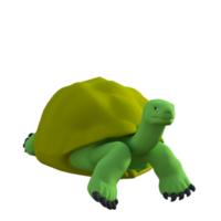 Tortuga animal aislado 3d png