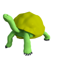 tortue animal isolé 3d png